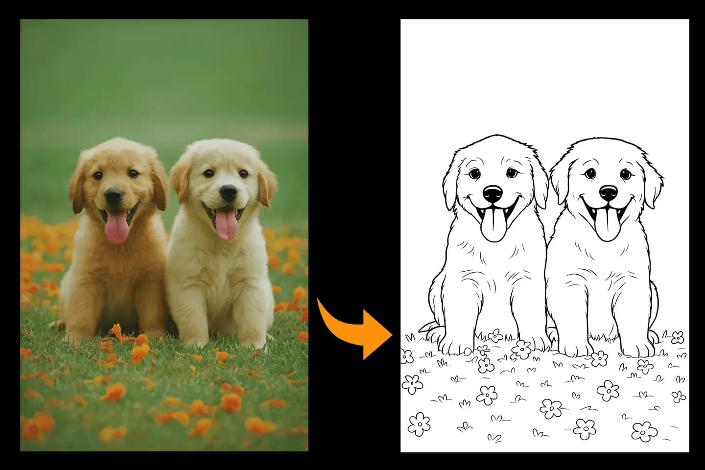 Best Coloring Pages