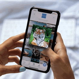 Coloromo AI Art Generator
