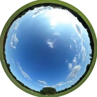 ControlNet