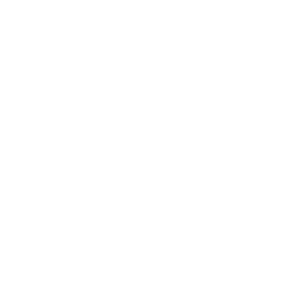 Grok 4.2 logo
